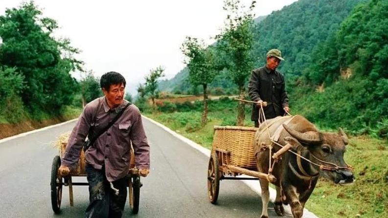 经典影片《落叶归根》，赵本山的封神之作，以及人性的琢磨不透