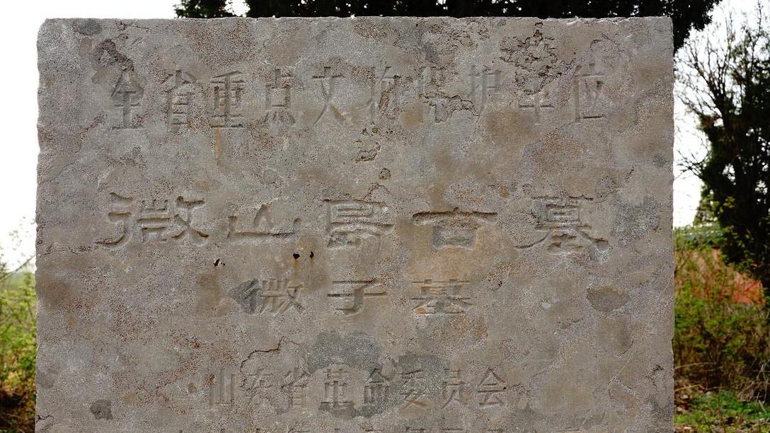 夏商周古墓之微子墓