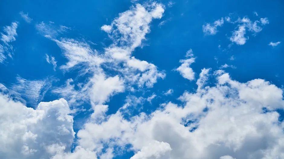 他的二婚新娘是个年轻女子，却在婚礼上消失了，真相让人无法接受