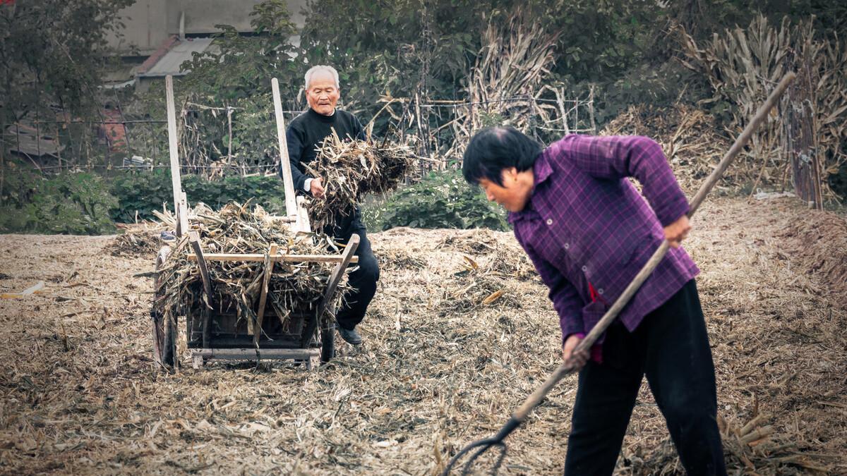 从中央一号文件看农村“小田并大田”，农民的好日子要来了！