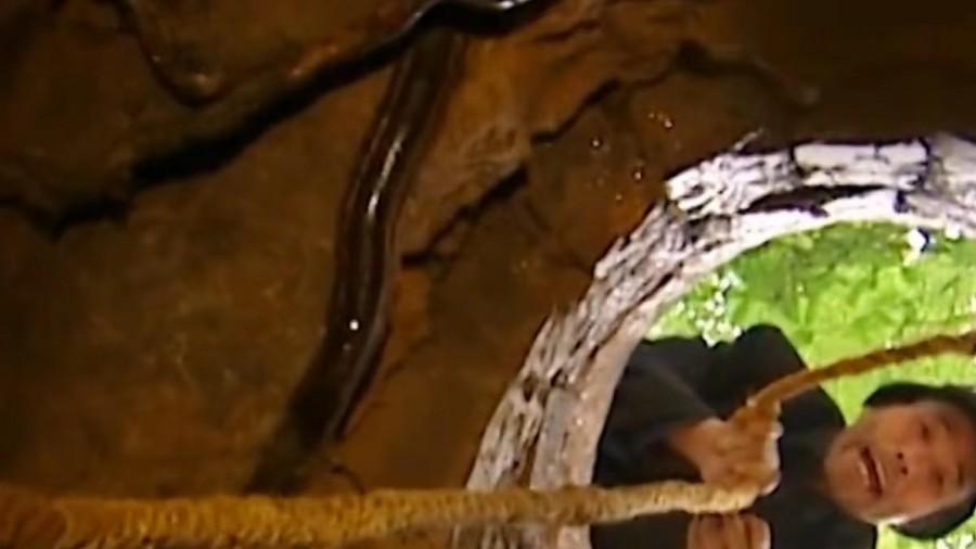 地窖少年王涛，父亲瘫痪，母亲抛弃，十岁的他扛起了整个家