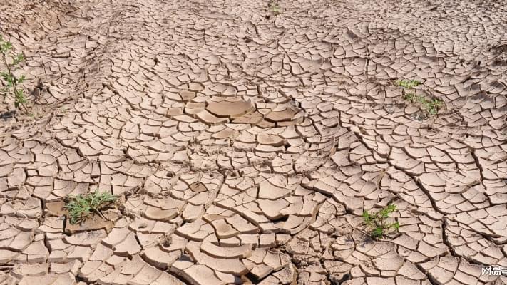 遥感技术与气象灾害：科技进步为农业带来新希望