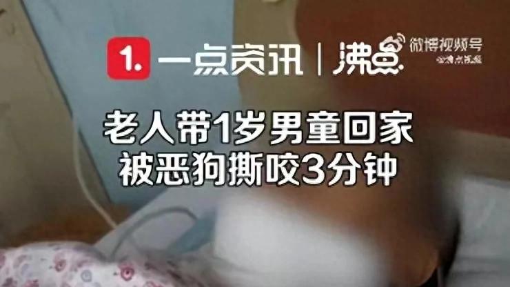 又一起恶狗咬人事件！贵州一老人带1岁男童回家被恶犬撕咬3分钟！