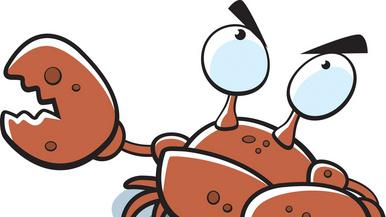 刀郎何尝不是一头“驴”呢？