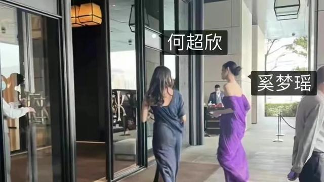 奚梦瑶陪何猷君参加豪门聚会，穿仙气紫色礼服，和名媛同框状态好