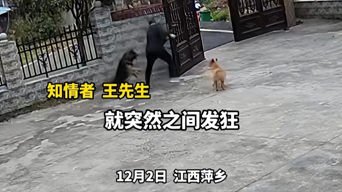 养了几年的狗突然发狂，咬伤了几人，狗主人被咬进医院了