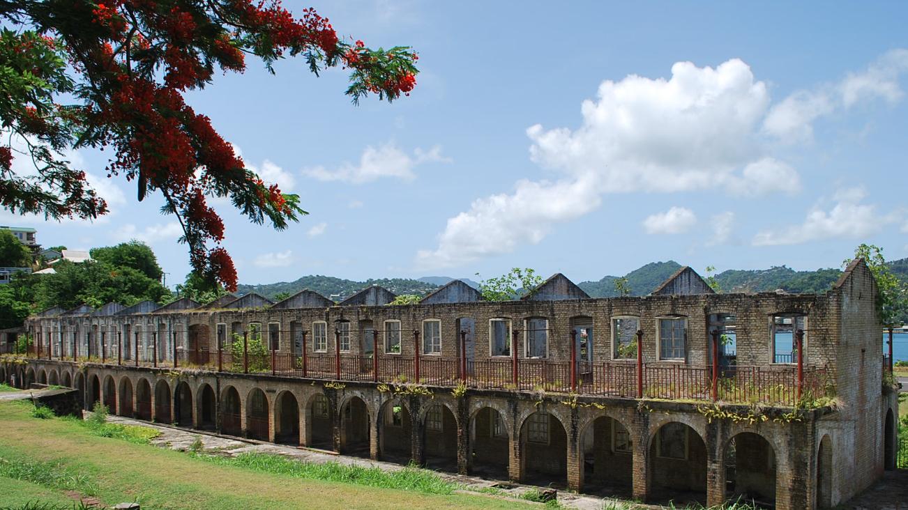 罗德尼湾：探索新西兰之心的七彩之旅