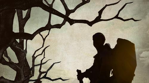 随便推荐一下最近看的小说