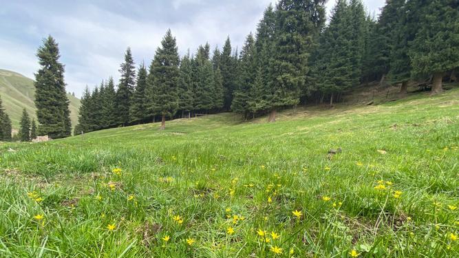 聪明和智慧是一回事吗？（值得深度思考）