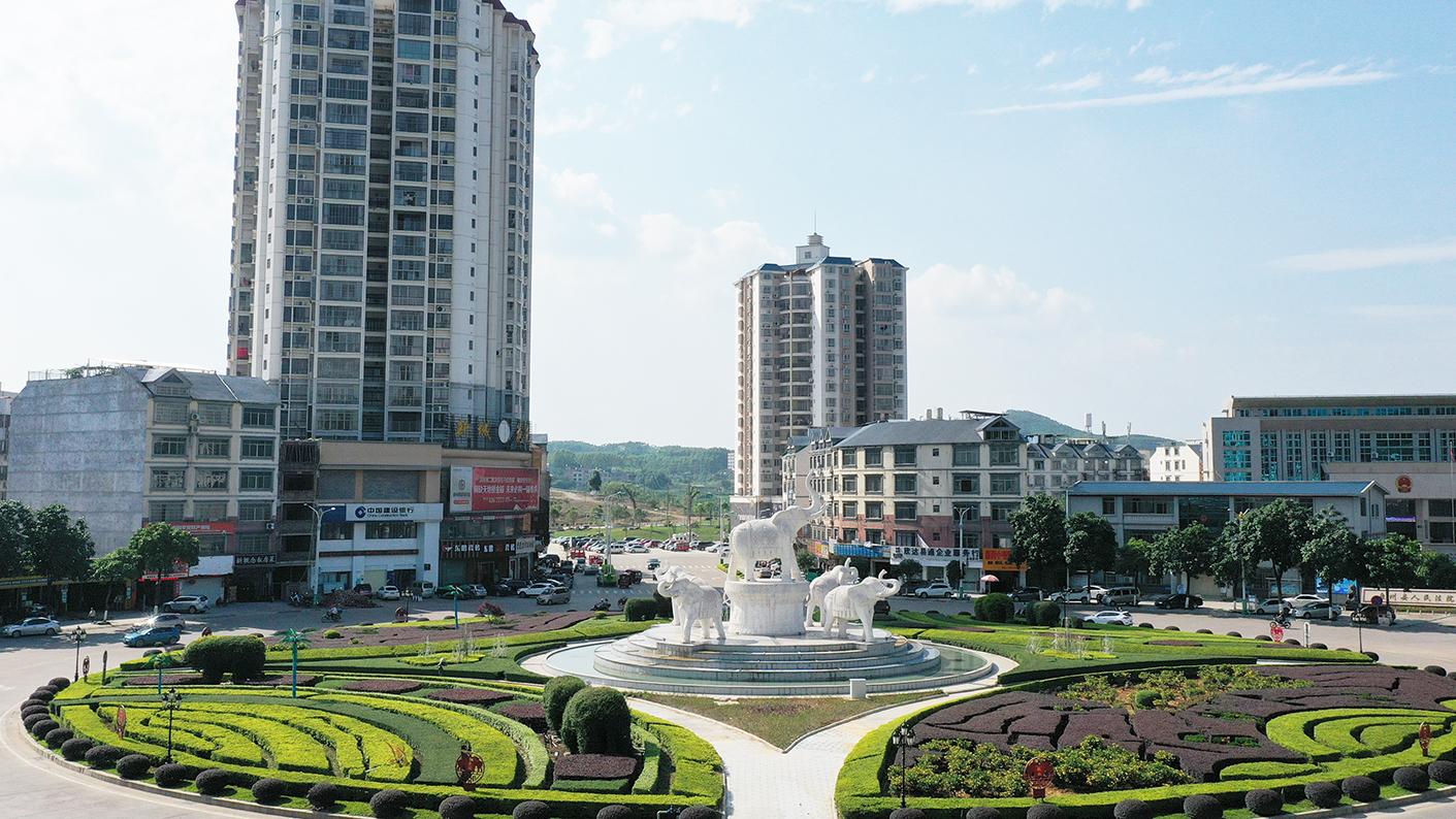 象州沙糖桔走出品牌强农之路！