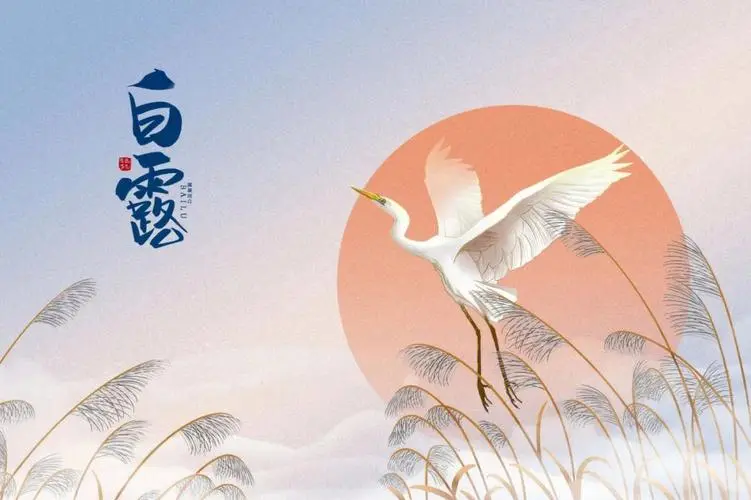 白露来，秋意浓