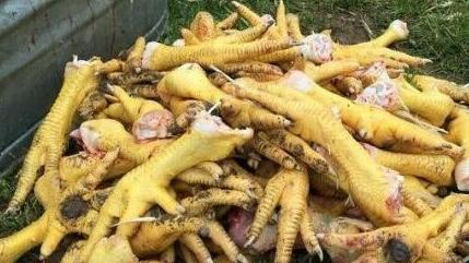 外国人奇葩的杀鸡方式，网友看过后直表示：暴殄天物！