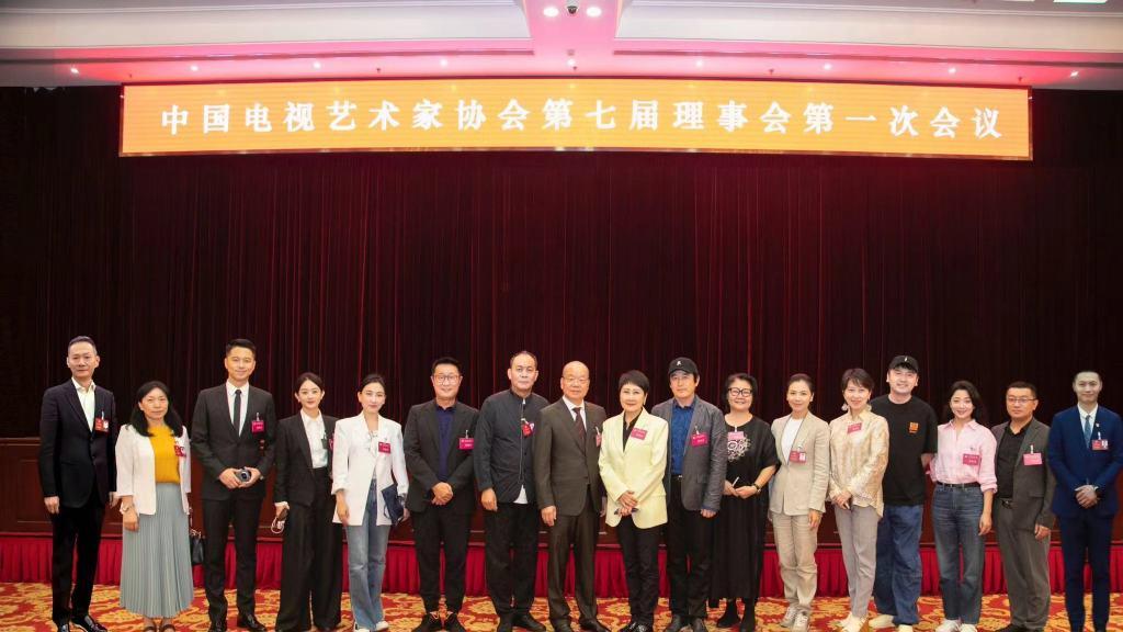 赵丽颖当选中视协第七届理事