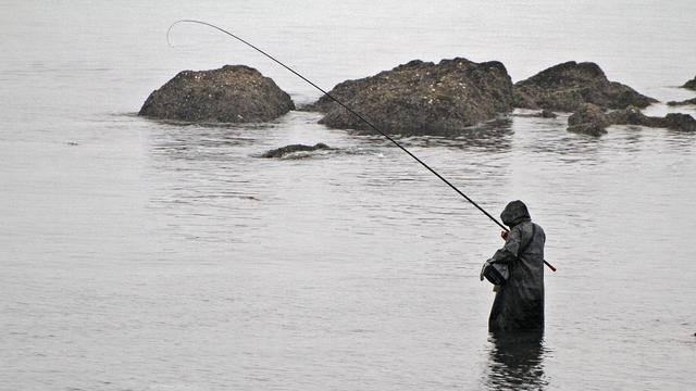 智圣鬼谷子之摩术，高明的人，一定要学会投掷“鱼饵”