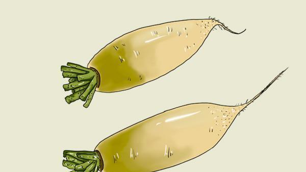 高血压|芝麻香油里没有一粒芝麻，街边现磨芝麻油骗局，要擦亮眼睛