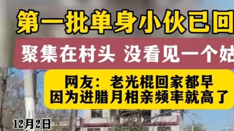 男子返乡发现村口站满单身汉，是什么情况，让父愁者联盟回来了？