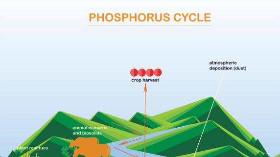 为何地球上没有超过1万米的山峰？你知道吗？