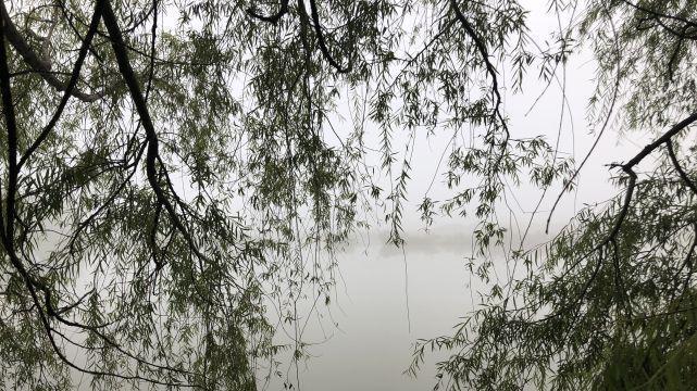 今年清明闰月中，晴天好还是下雨好？有啥说法？农村谚语可预兆