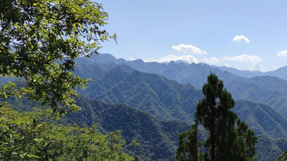 终南山，修士的神圣之地