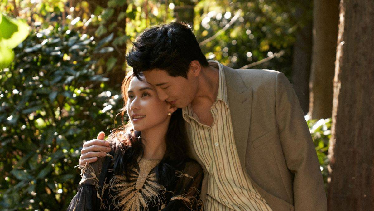 爱情的裂痕，窦骁和何超莲的婚变背后引发的社会现象