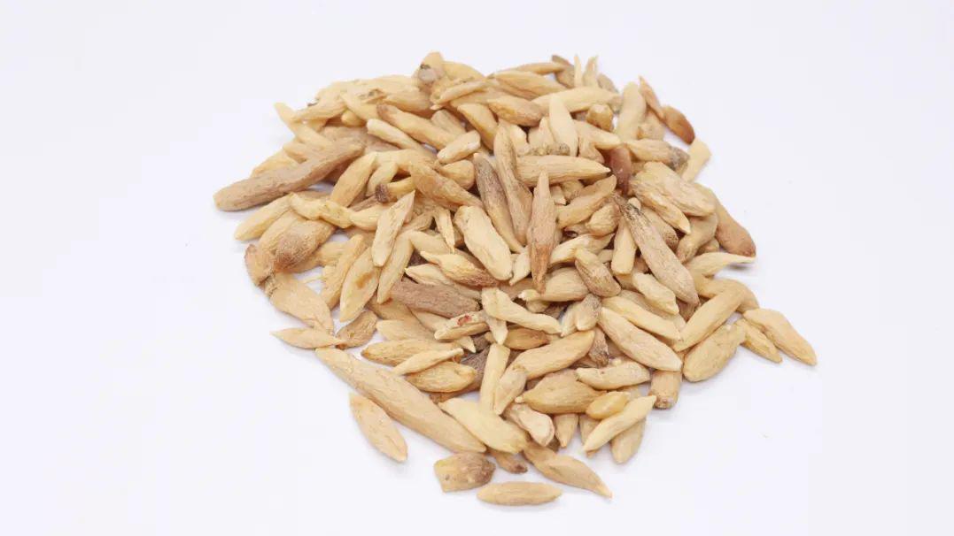 中药|一味奇妙的中药，抗血栓抗肿瘤，降血糖降血脂，还可以保护心功能