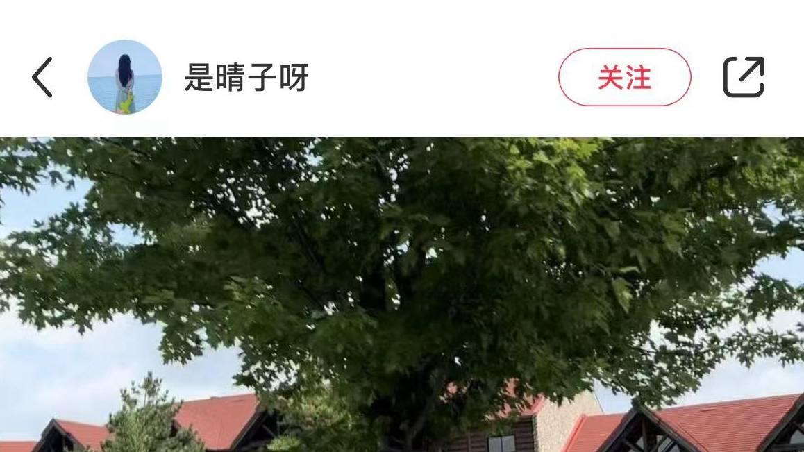 刘恺威带女儿现身加拿大，9岁小糯米形体容貌出众，遗传杨幂神颜