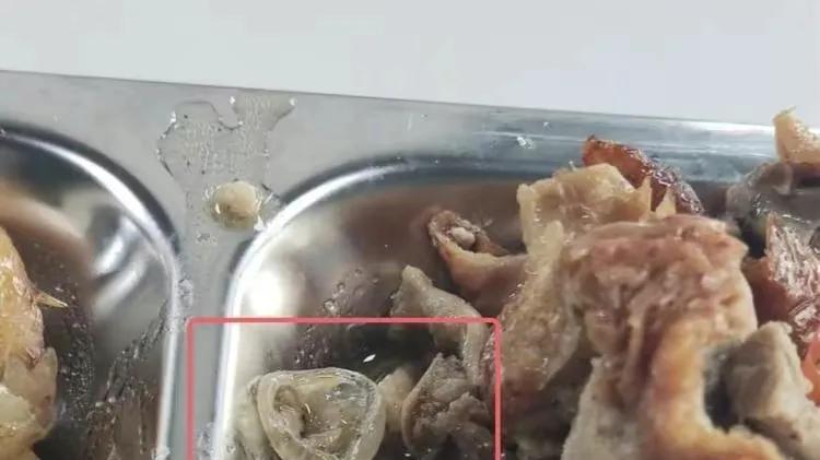 又是鸭子扛下了所有。鸭子：能不能换个动物啊。广州一职校食堂吃出橡胶异物，学生怀疑