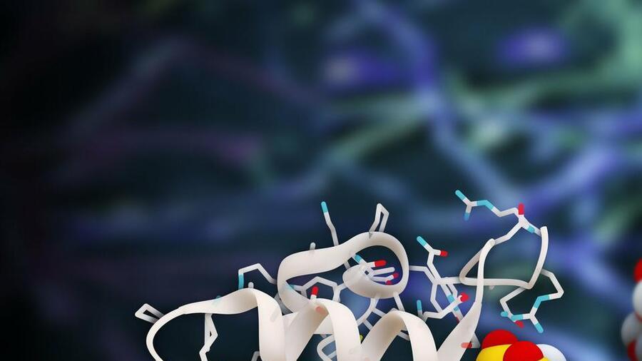 你知道吗，香蕉竟然可以发光？