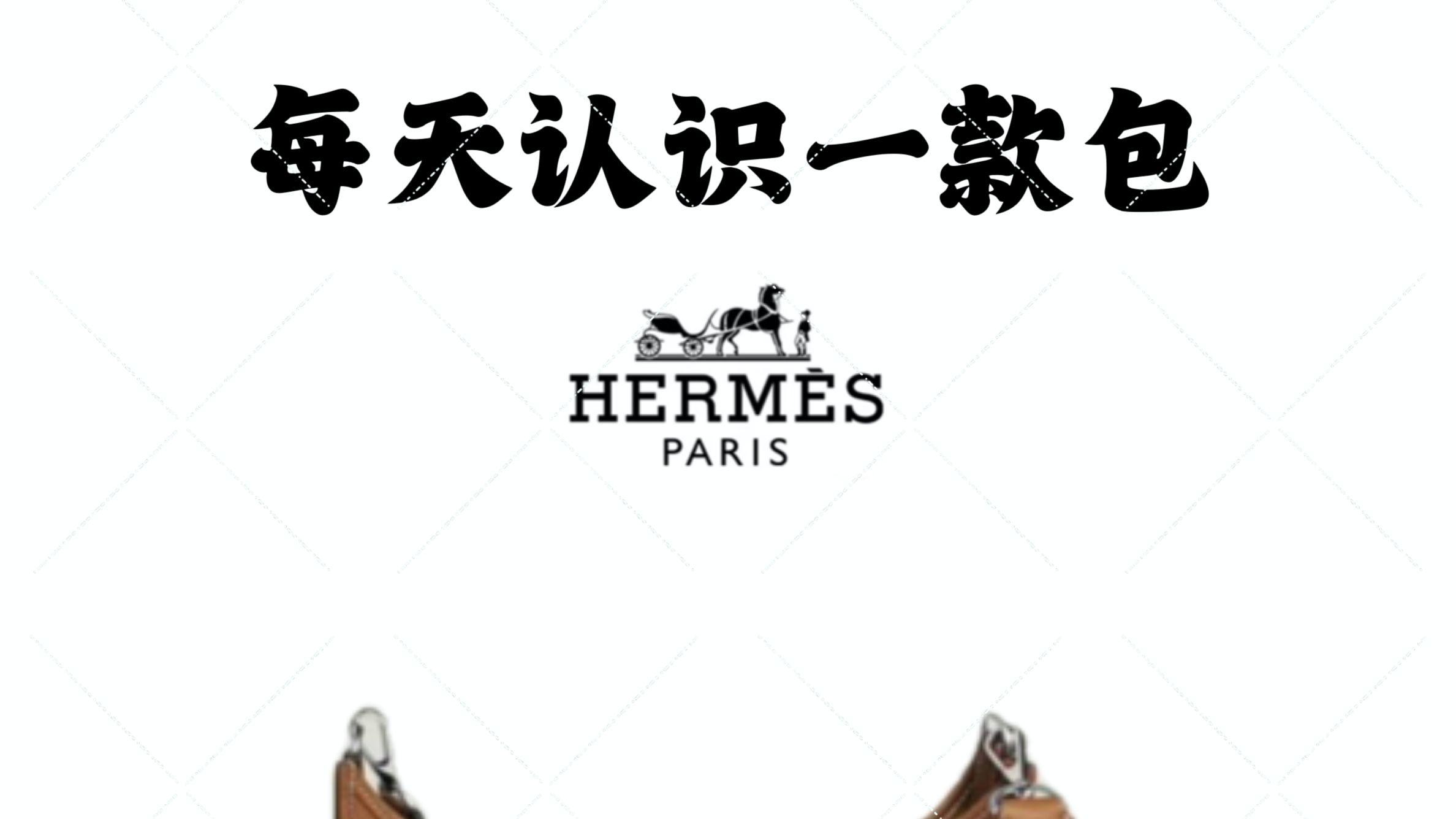 每天认识一个包丨Hermes Evelyn's 爱马仕伊芙琳：经典马术风格包！