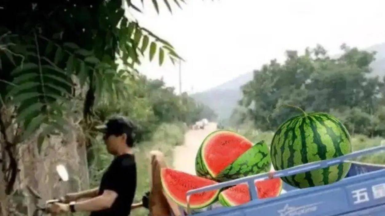 吃的是送水师傅的“瓜”