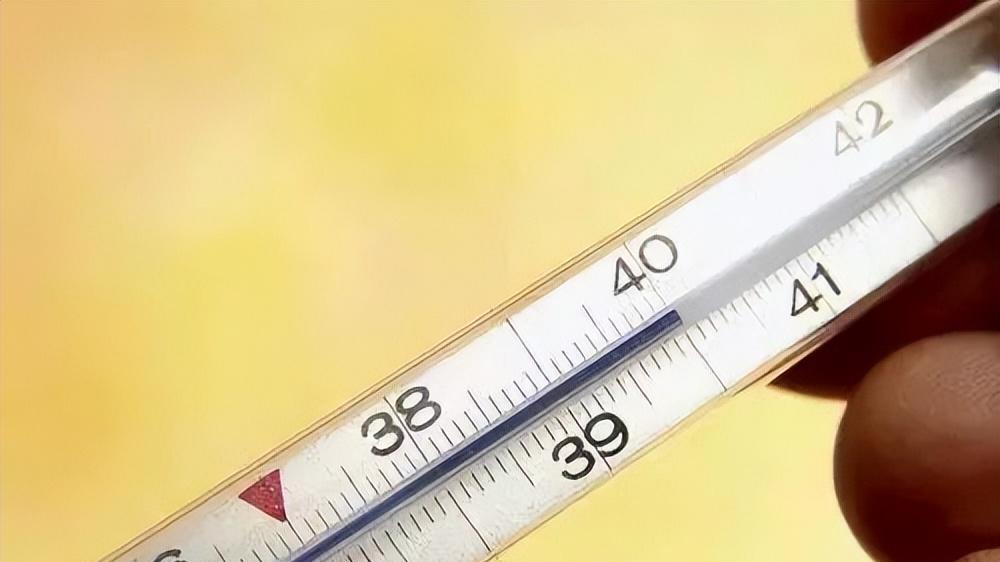 鸡蛋|发烧时，坚决不能吃鸡蛋，有科学道理吗？提醒：别做无意义的事