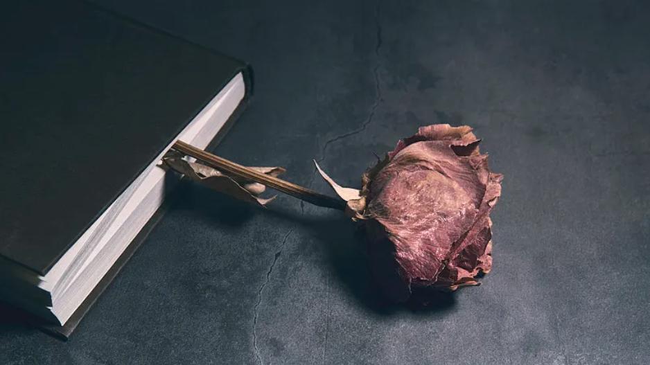 穿成虐文里被冷漠男主虐心虐肺的倒霉女配，我摆烂了，男主却对我上心了，求着我给他补偿的机会