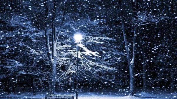 大雪：若能与你同淋雪，也算此生共白头！