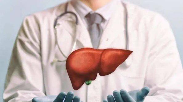 肝脏|医生忠告：肝不好的人，6种水果平时可多吃，或能帮助修复肝功能