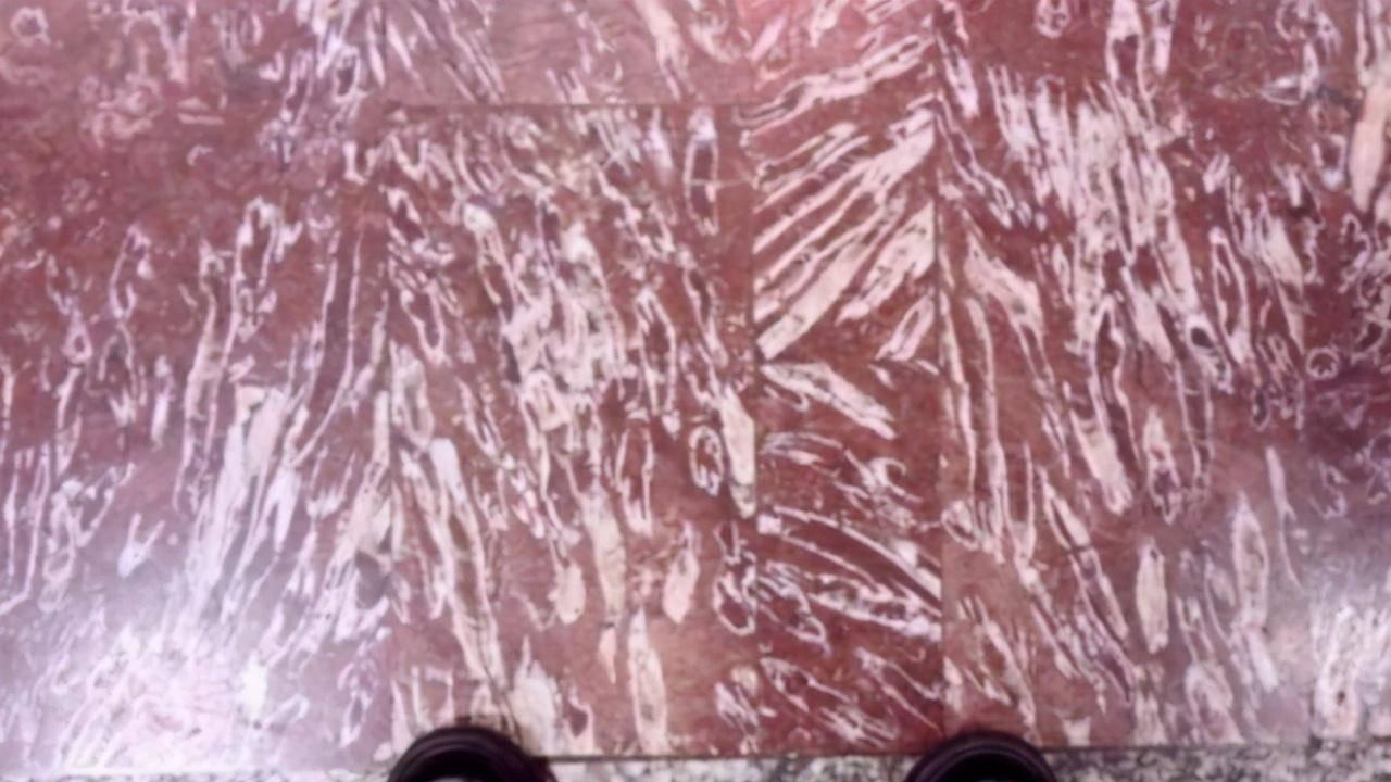 最有研究价值的地铁站：8000万年前的化石当地板，每天上千人踏过