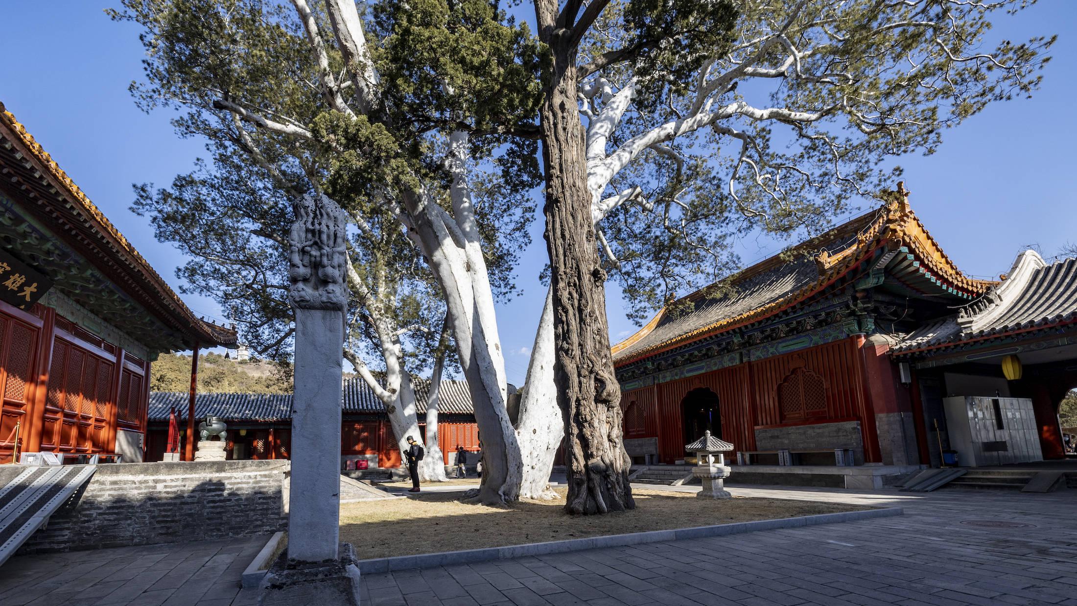 隐于京西的明代古寺，低调神秘，却足以与敦煌莫高窟媲美