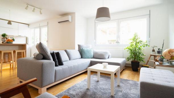 家居绿植：如何让你的家更加清新