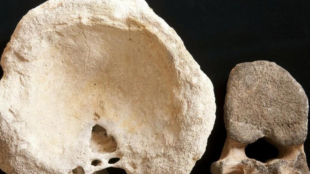 举世瞩目的祖先一北京人