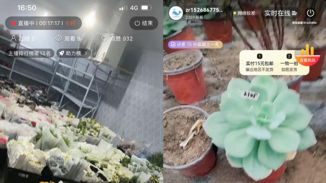 精彩回顾！中国农民丰收节明光市庆丰收活动农产品电商直播大赛圆满落幕！