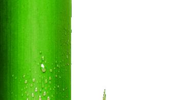 观鹅厂大剧《君子盟》有感