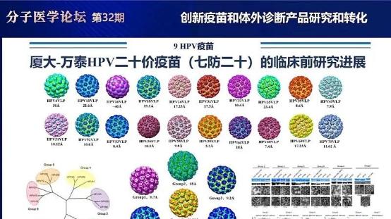 厦门大学夏宁邵院士团队20价HPV疫苗, 准备申报临床