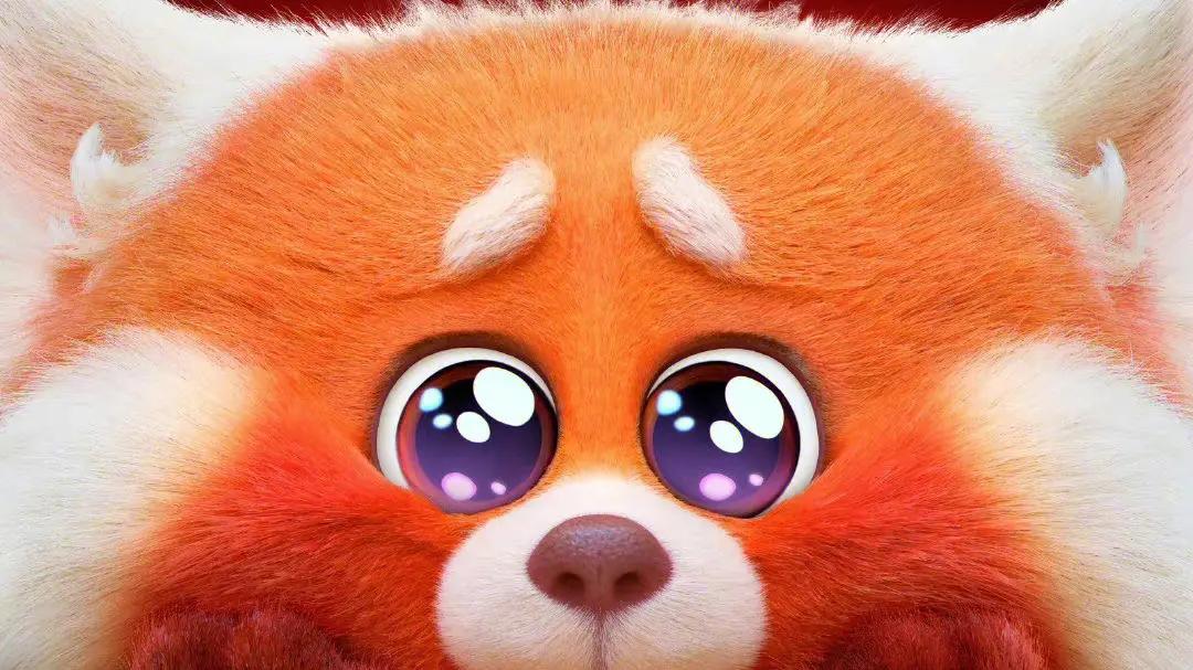《青春变形记》，想变成熊猫吗，《青春变形记》剧情简介一
