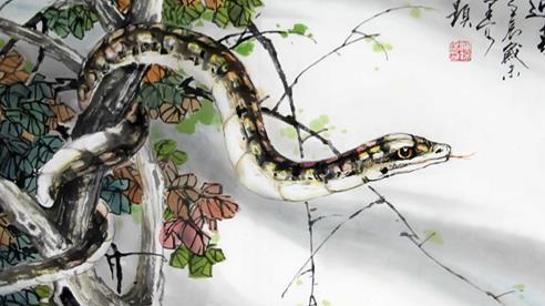 10月底好运缠身，鸿运当头，事业如鱼得水的三个生肖