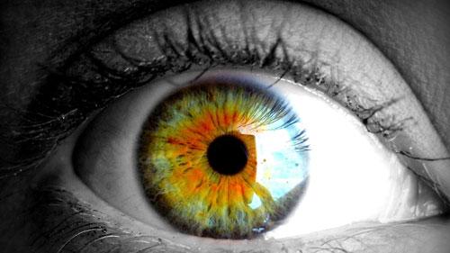 明眸探秘：一场关于眼睛的科学盛宴