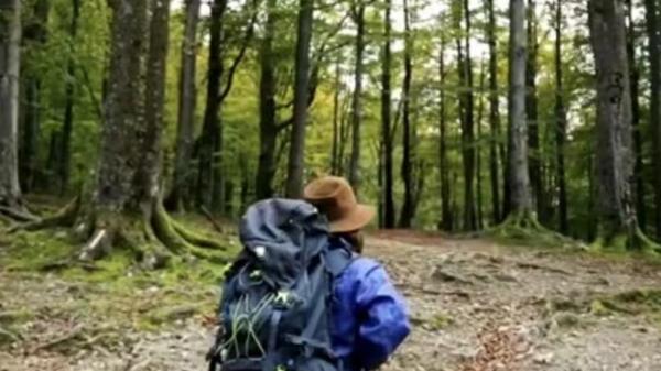 阿伐利亚和马达加斯的冒险之旅，展示了生命的哲学和意义，传承着古代文化的智慧和价值。