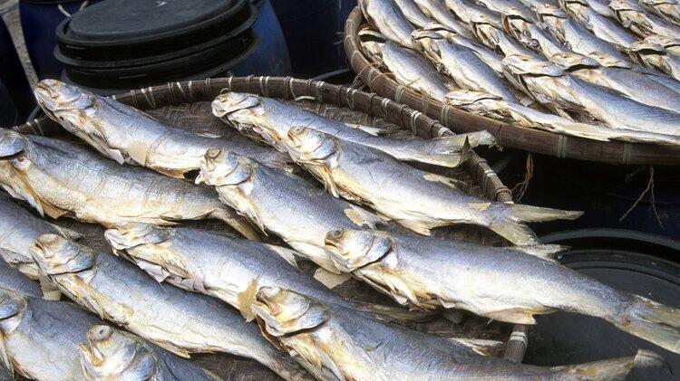 中国一年有406万人确诊癌症！劝告：4种食物，再爱吃也要管住嘴