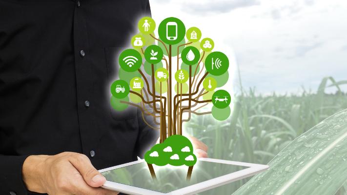 卫星助力农业：遥感技术在农业生产管理、资源调查、环境监测及保险的多维应用