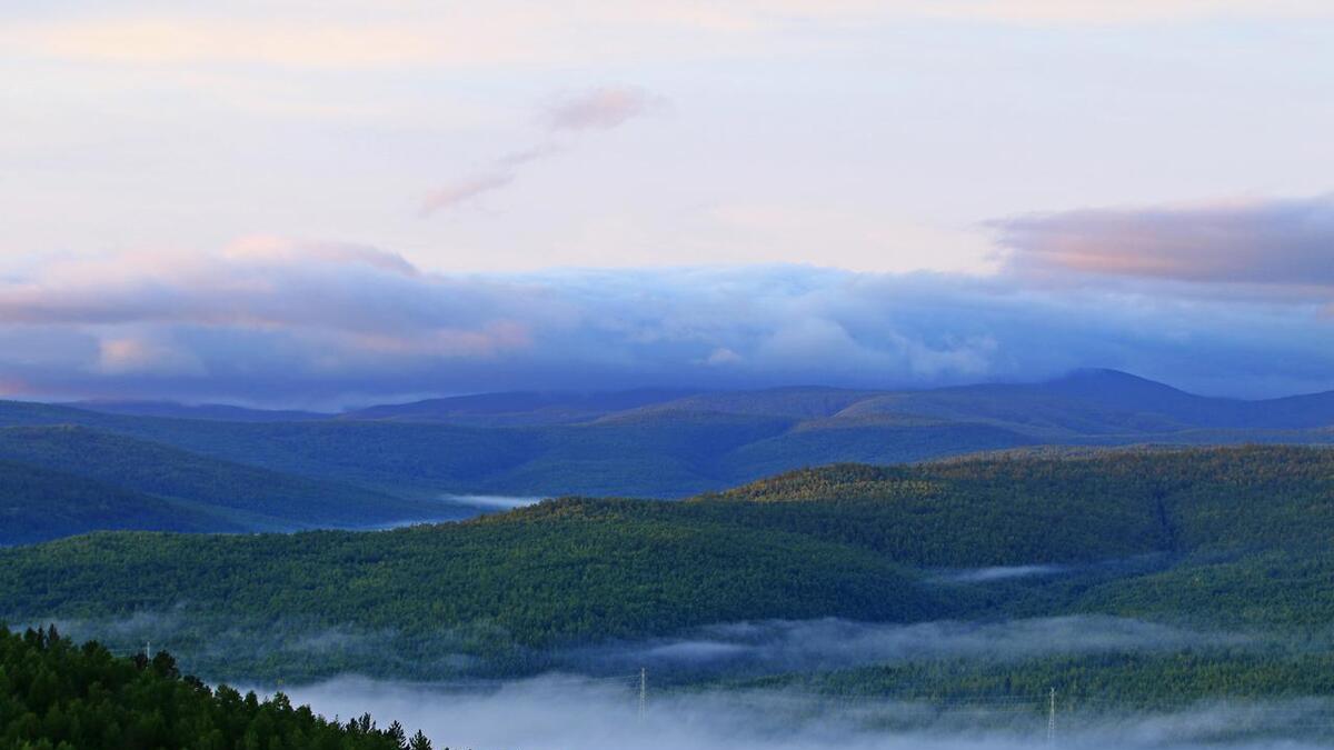 佳音第一次参加这种饭局，同寝室的马莉莲大一就被人带出来赴饭局