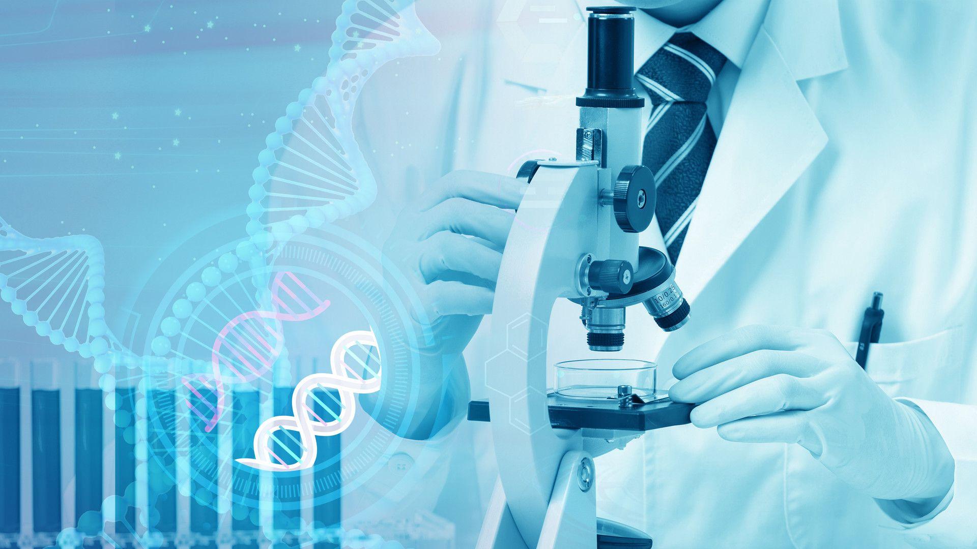 新研究推翻“胸腺无用”论