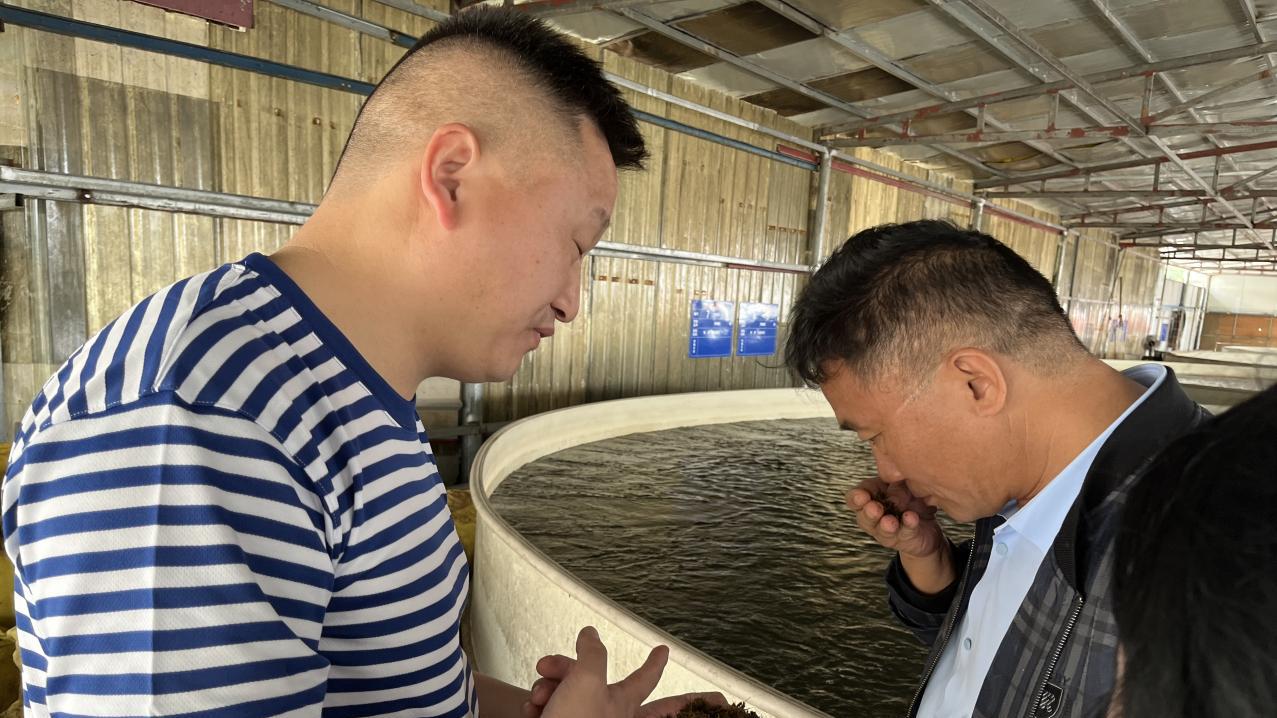 乡村振兴，国泰民安健康产业助南丹产业发展